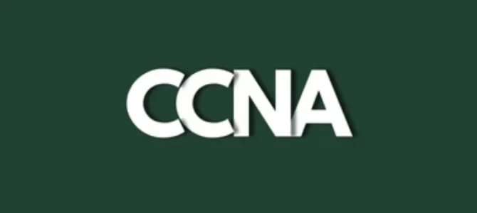 Understanding the Basics of CCNA Routing and Switching